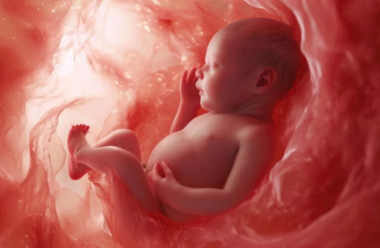 How Can 63 Million Abortions Be ‘Good’ for the Economy?