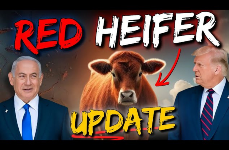 Update: Why the Red Heifer Ceremony Could Happen Soon